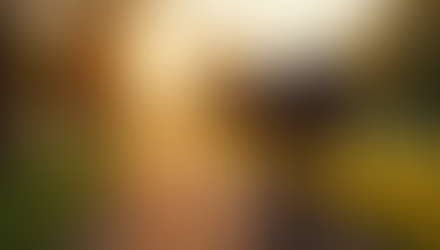 Your Questions Answered: Photography FAQs