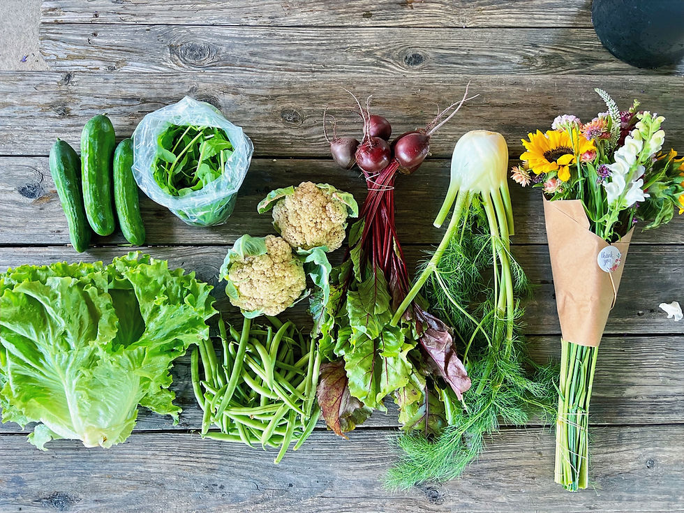 Thumbnail: 24 Week Vegetable CSA