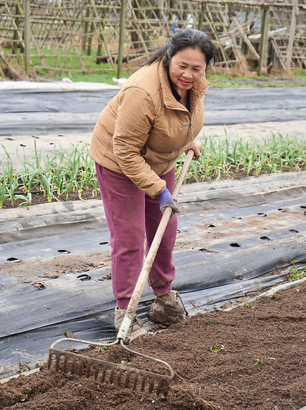 Preparing bed at Mu Ta Ka Paw Garden