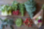 2021 Spring CSA Week 1_TD copy.JPG
