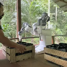 TECNOLOGIA: Conheça o robô cultivador que é capaz de reflorestar a Amazônia