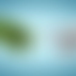 Iniciativa Vai Destinar R$ 30 Milhões Para Projetos De Inovação Da Região Norte