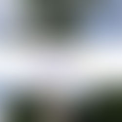 Amazônia UP: conheça o maior programa de pré-aceleração de negócios sustentáveis da Amazônia