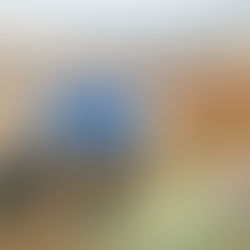 Núcleo promove I Seminário Econômico em Belém; tema: Política Externa & Negócios Impactados