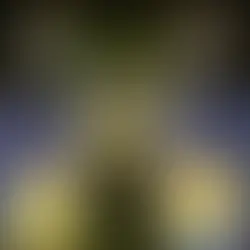 Brasileirão 2026 terá 7 clubes no modelo SAF; saiba quais são