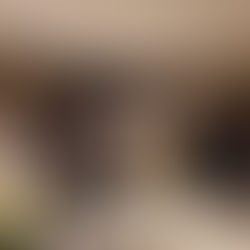 Conheça a Núcleo, ecossistema empresarial focado em conectar lideranças e impulsionar negócios através de uma rede high level