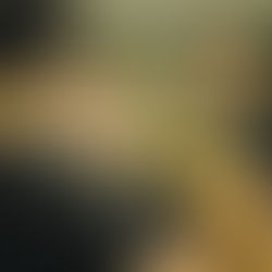 Iniciativa Promove Encontro entre Empresários em Belém