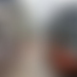 Valor Da Passagem De Ônibus Pode Chegar A R$ 5,12 Em Belém