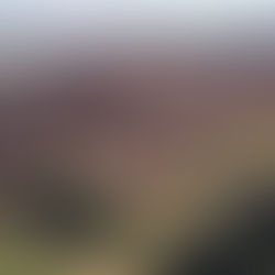 CBA vende sua participação nas ações da Alunorte por R$ 236,8 milhões para empresa da suíça