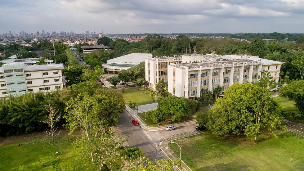 Prefeitura de Belém inicia cursos preparatórios para a COP-30