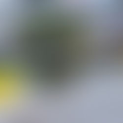 Esclerose Múltipla: Brasil recebe transferência de tecnologia para produção de medicamento