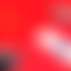 Evento Discute Oportunidades de Negócios entre o Pará e a China