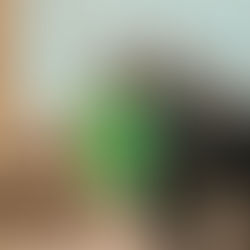 Startup que está revolucionando mercado de telefonia se prepara para operar em Belém