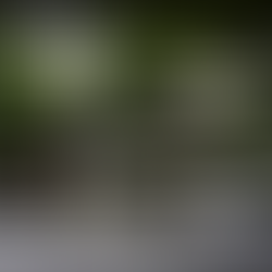 EXPANSÃO: UNAMA oficializa troca de marca de unidade educacional