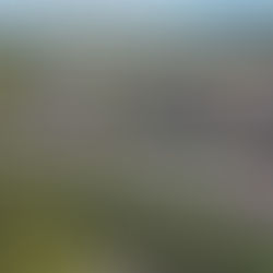 Brasil deverá ganhar 11 novos shopping centers em 2026; veja onde