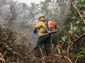 Incêdios no Amazonas resultam de ação humana intencional, diz ministro