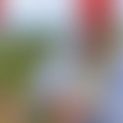 Alemanha Investirá € 35 Milhões no Fundo Amazônia