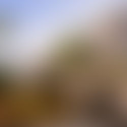 Iguatemi prepara mega expansão do shopping de Brasília, com investimento de R$ 314 milhões