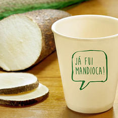 Startup produz embalagens biodegradáveis feitas de mandioca