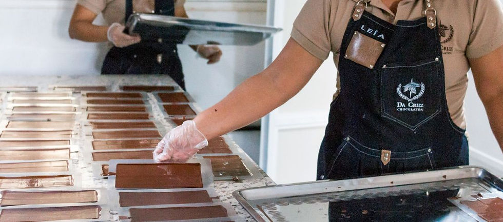 fábrica de chocolate, chocolate vegano, chocolate amazônico