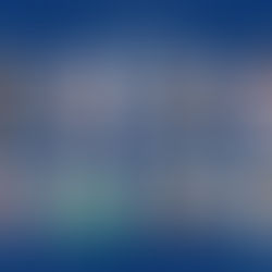 Empresários e especialistas se reúnem hoje em Belém para discutir sobre 'Negócios Impactados pela Política Externa'