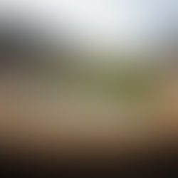 Retrospectiva 2022: Relembre as Notícias de Março