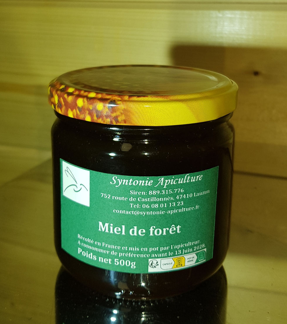 miel de forêt 500g