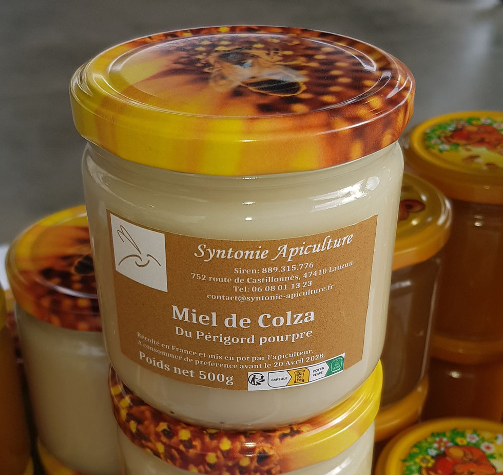 miel de colza du Périgord pourpre cristallisé 500g