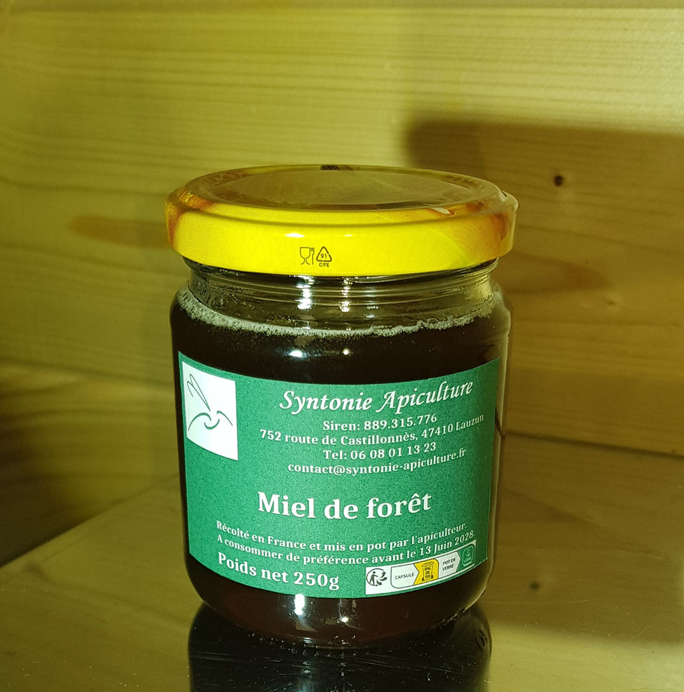 Miniature : miel de forêt 250g