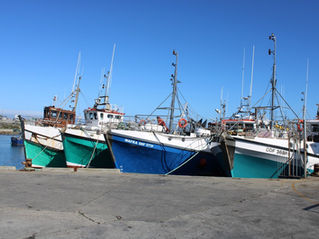 Erediens - 15 Maart 2026 - Ds. Hanri Joubert