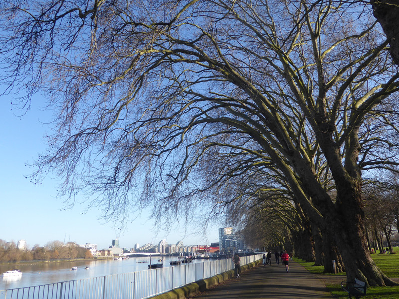 Wandsworth Park — Thames riverside path