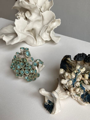 Handgemaakt bijzondere keramieken sculpturen geïnspireerd op koralen en het oceaanleven door beeldend kunstenaar Nancy Hoopman