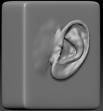 EarAngled.PNG