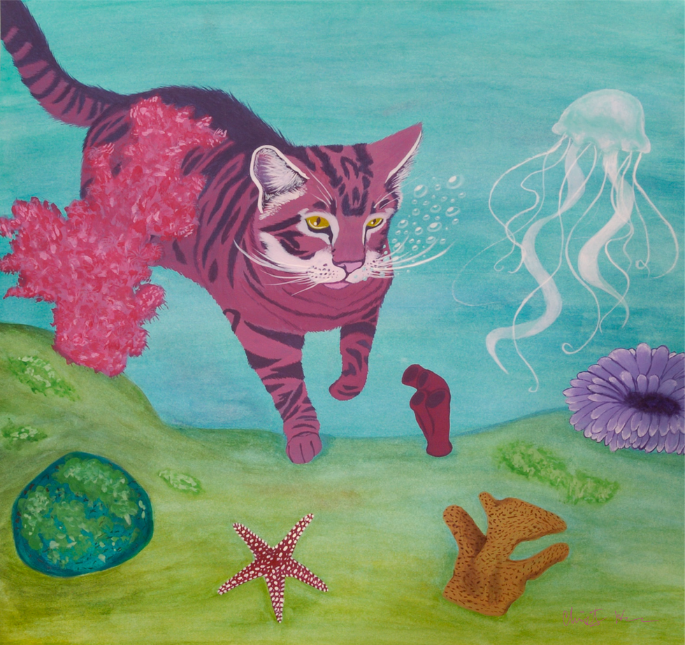 Cat Underwater
