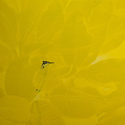 Manish Chavda | Untitled