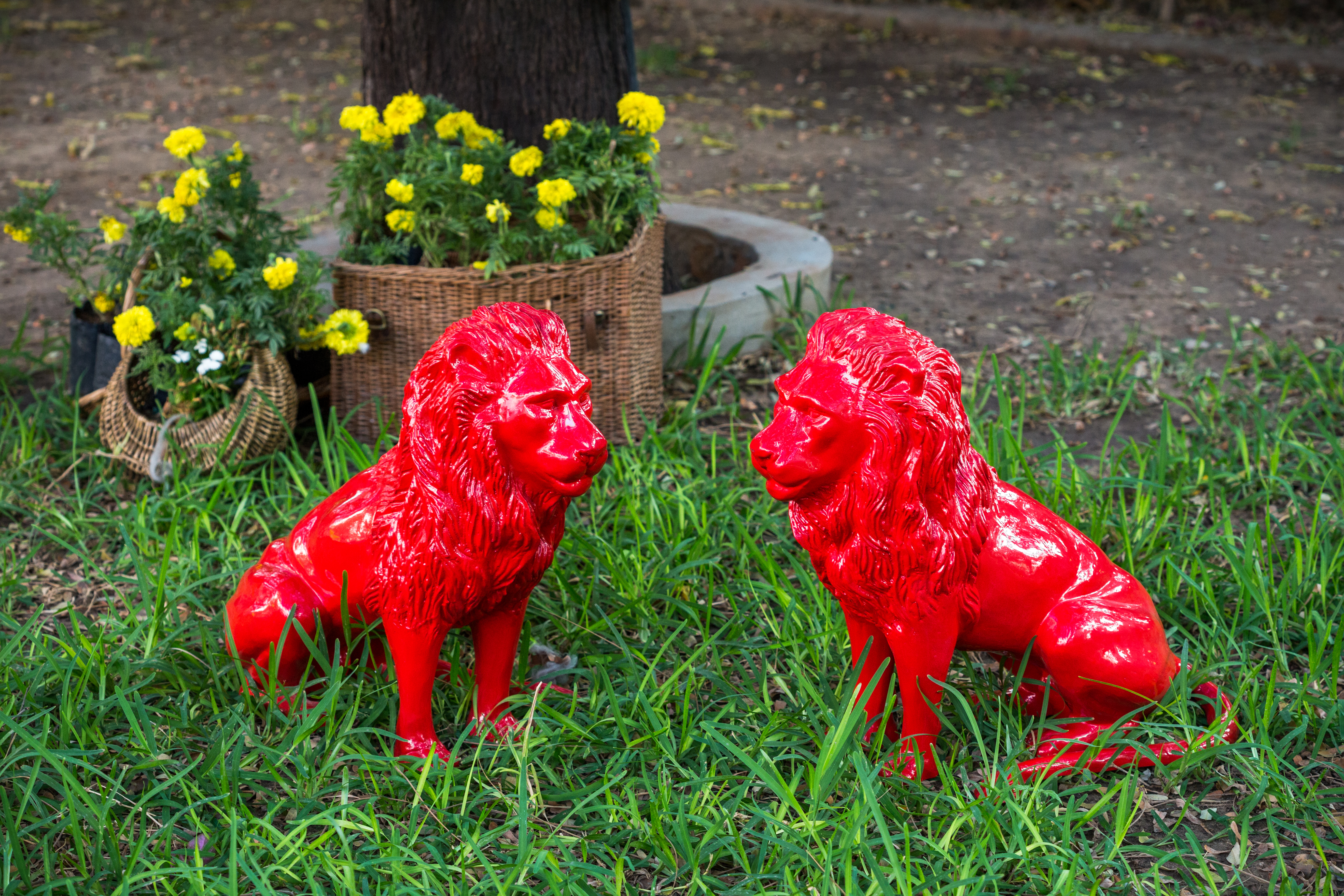 Sonal Ambani | Majestic Lions