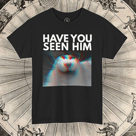 C.I　HAVE YOU SEEN HIM T-shirt 3色セット C.I HAVE YOU SEEN HIM T-shirt 3色セット C.I HAVE YOU SEEN HIM T-