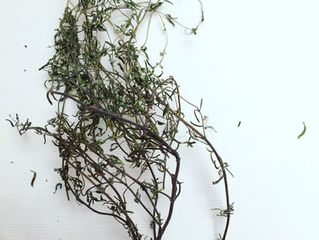 Hierbas para el alma -el herbolario de Caravasar-