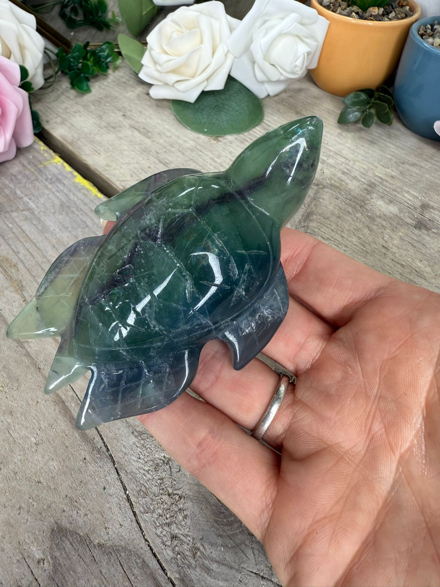 Fluorite Turtle