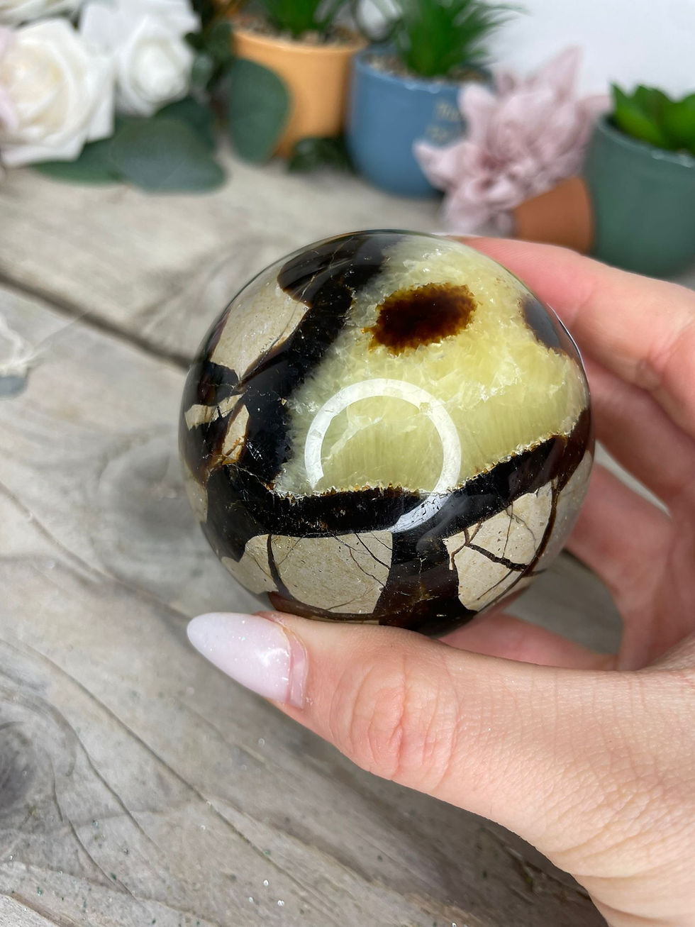 Thumbnail: Septarian Sphere