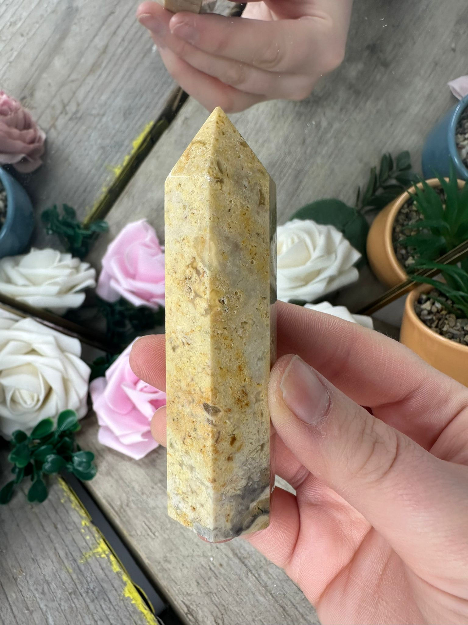 Crazy Lace Agate Point