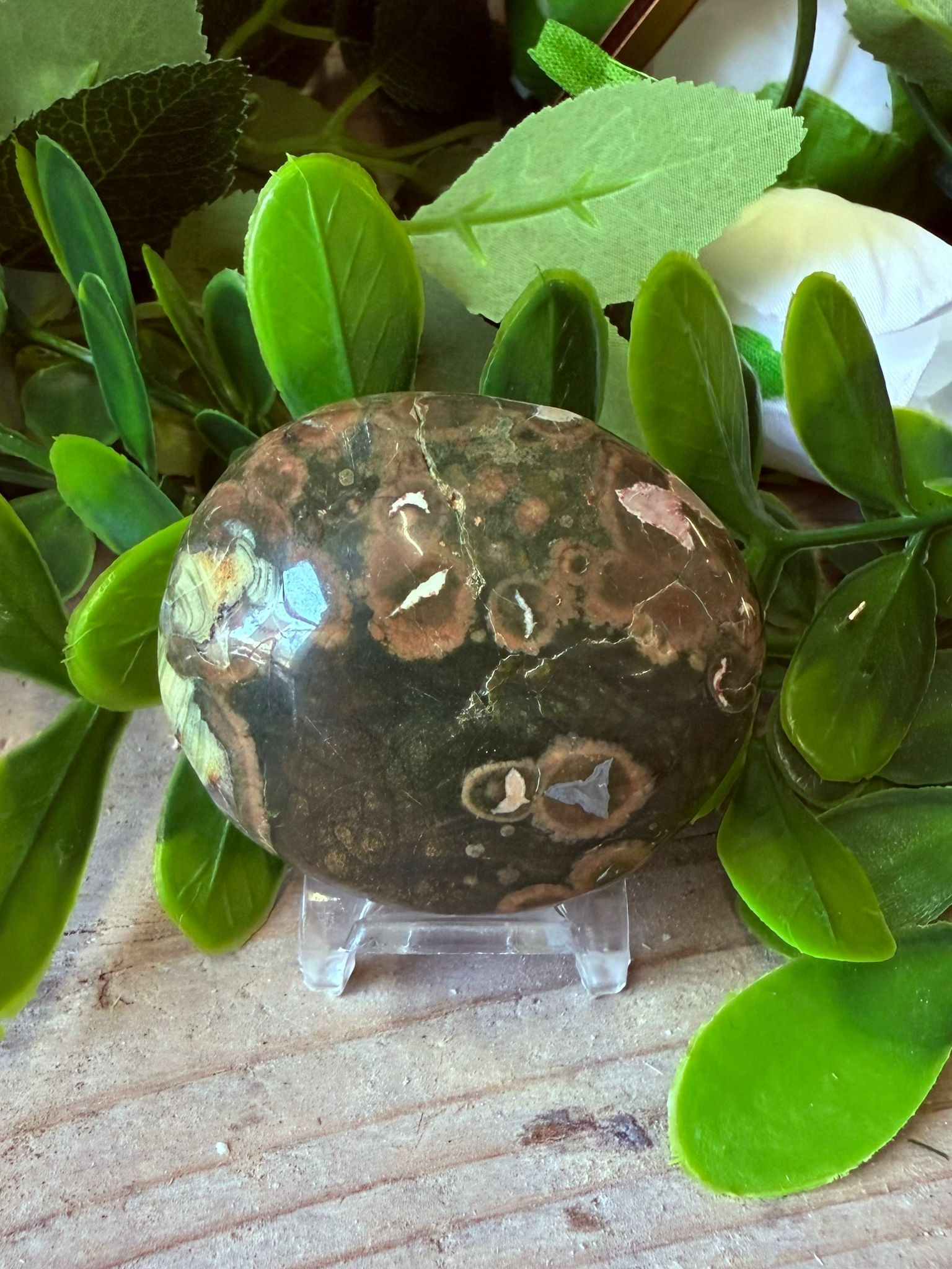Rainforest Jasper Palmstone