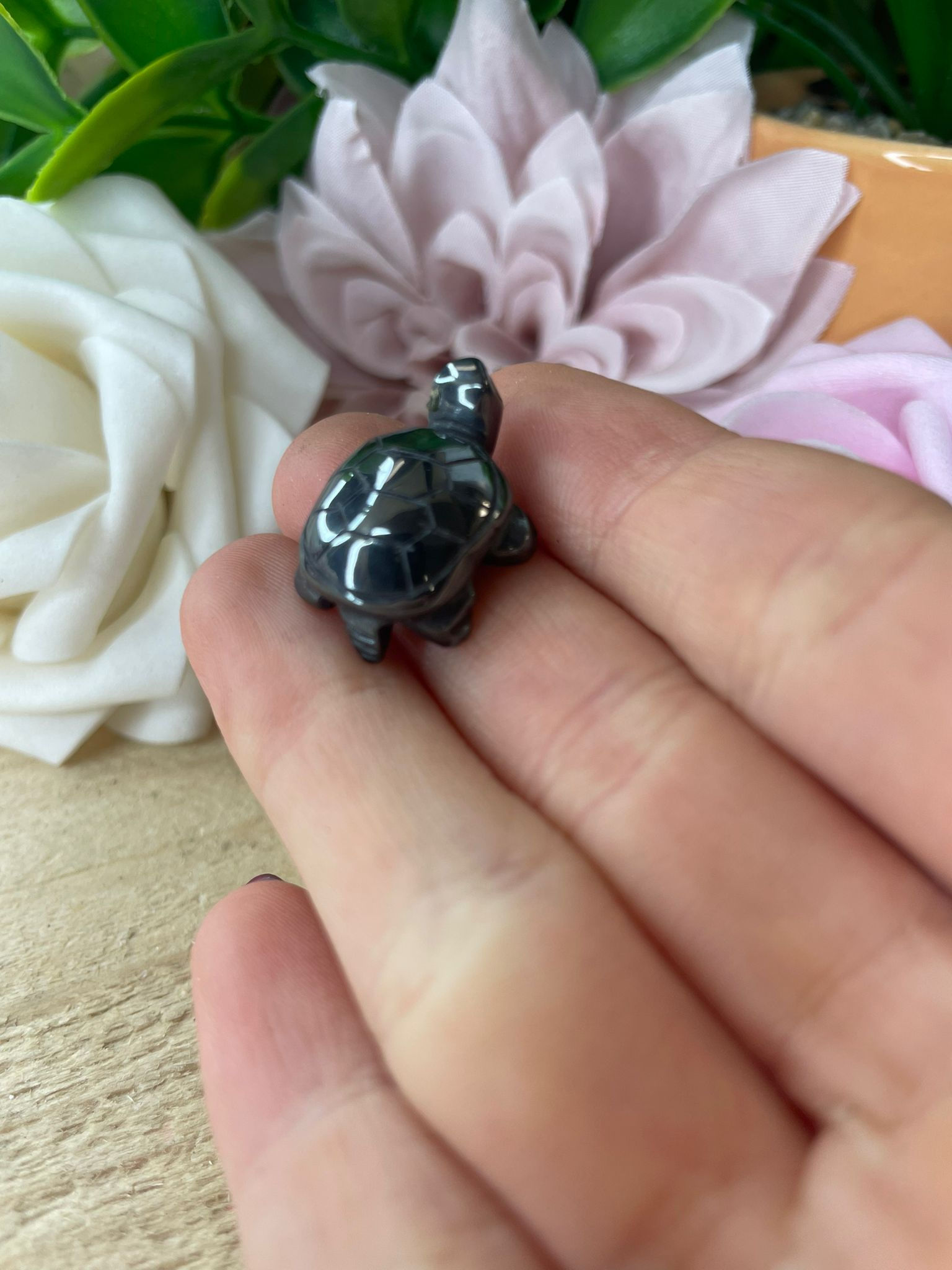 Hematite Turtle
