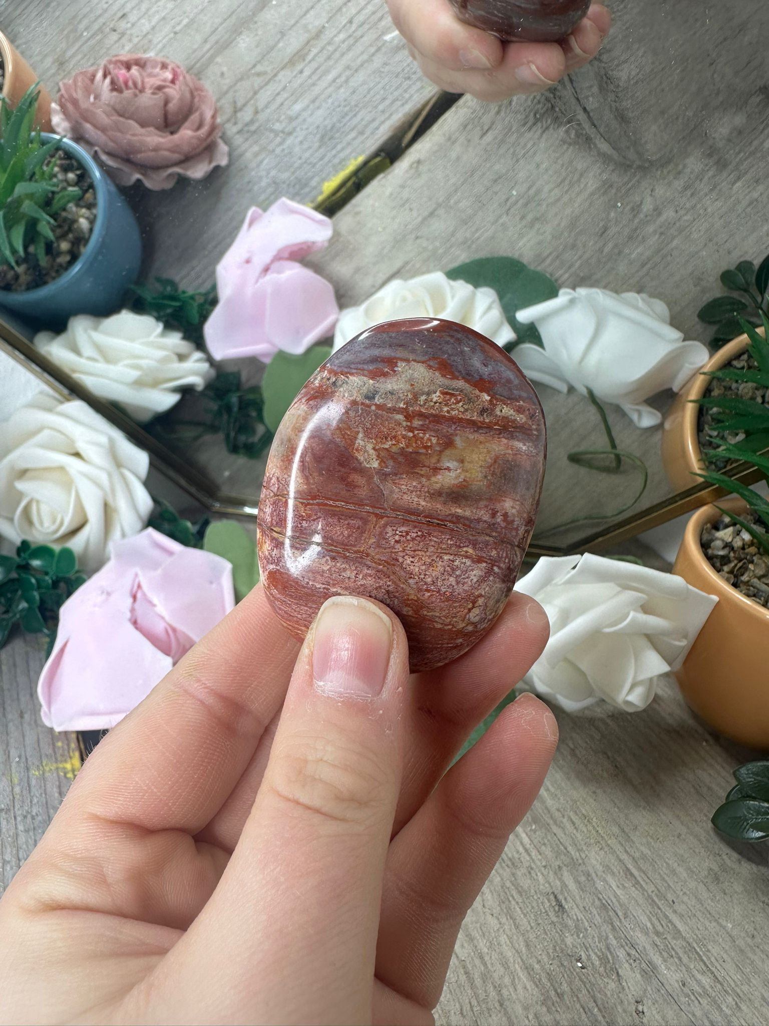 Petrified Wood Palmstone