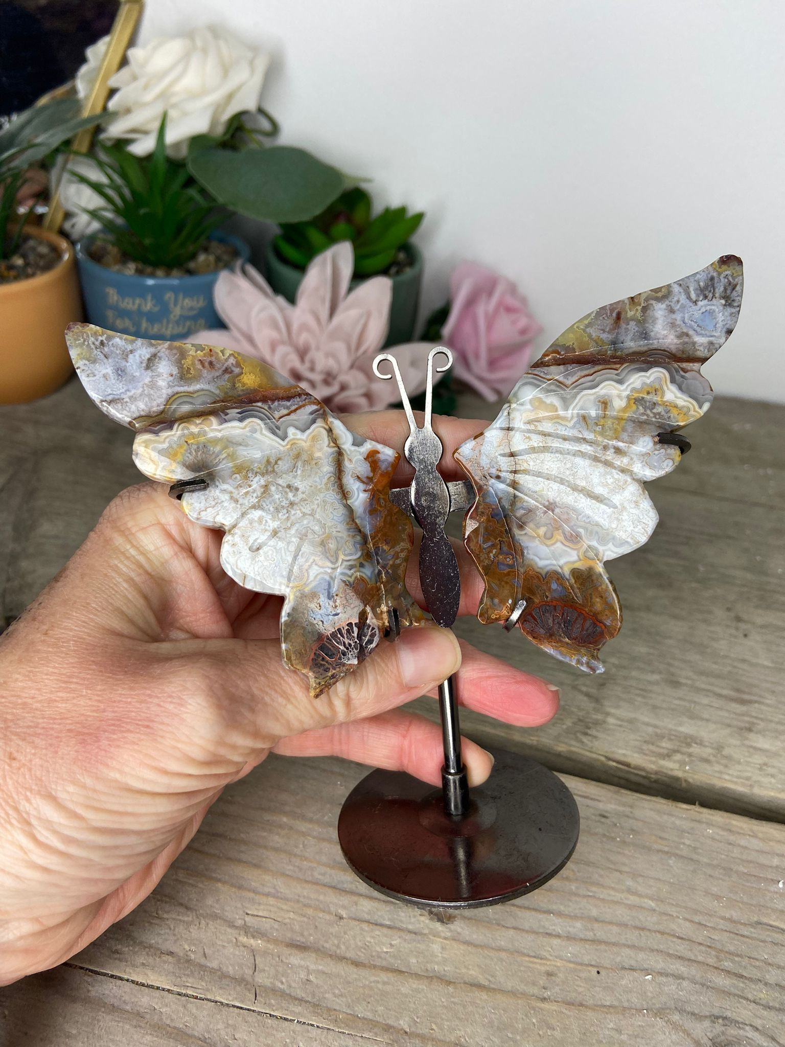 Crazy Lace Agate Butterfly