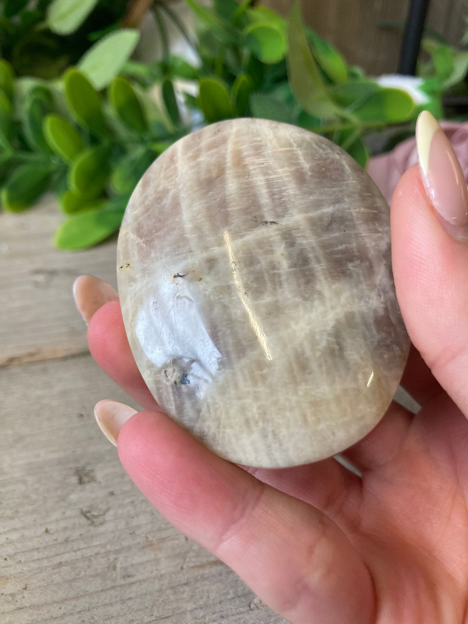 Moonstone Palmstone