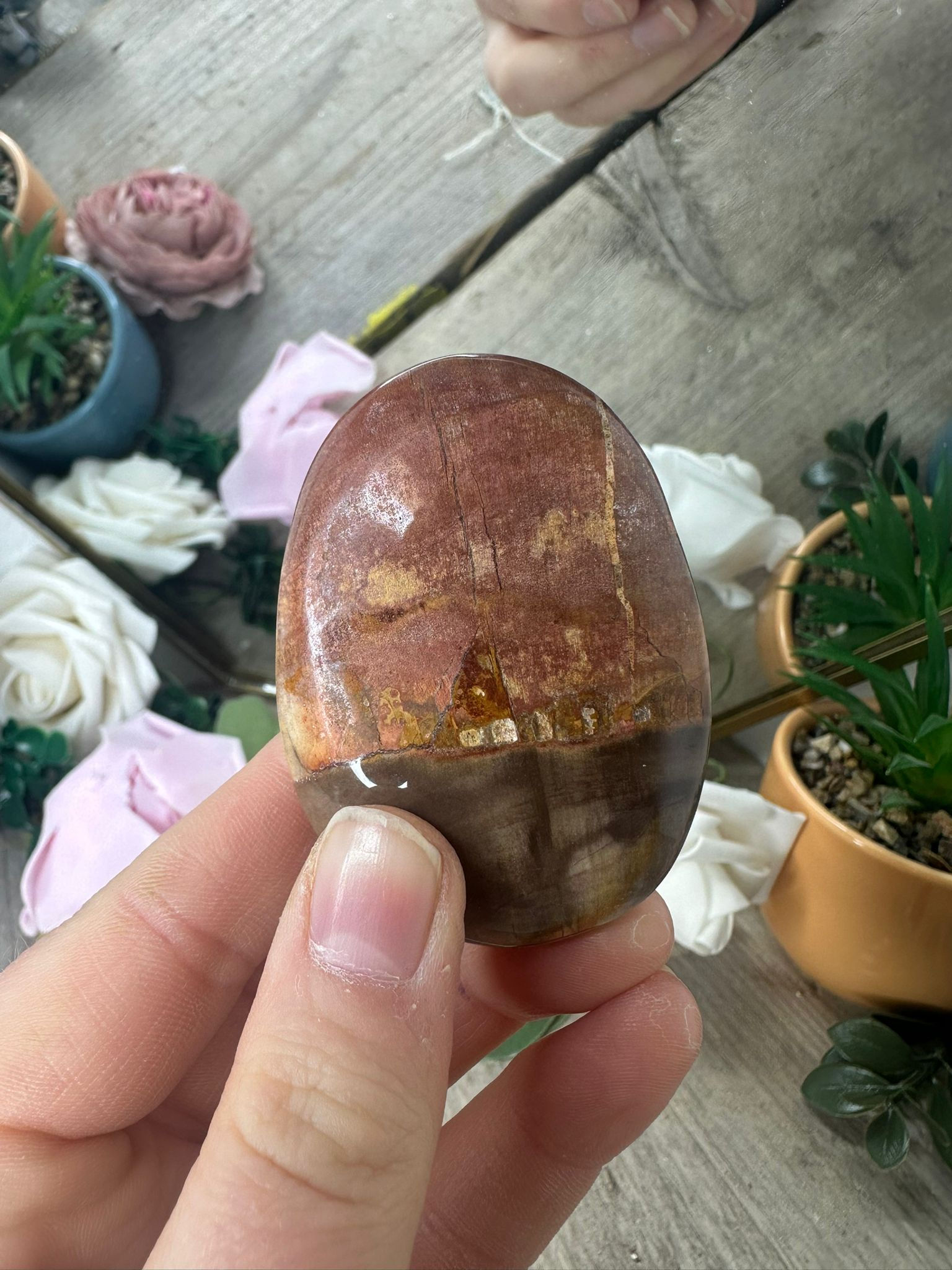 Petrified Wood Palmstone