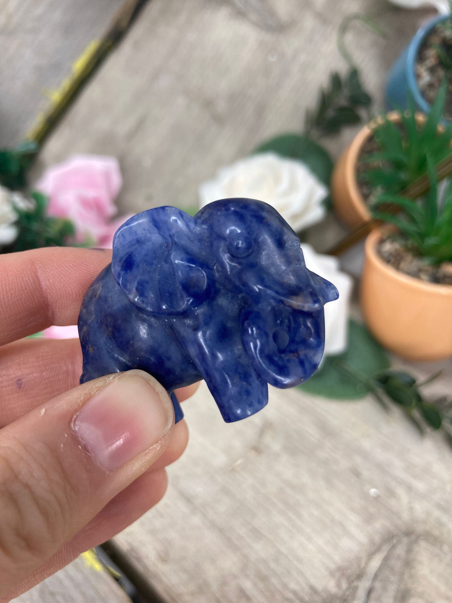Sodalite Elephant