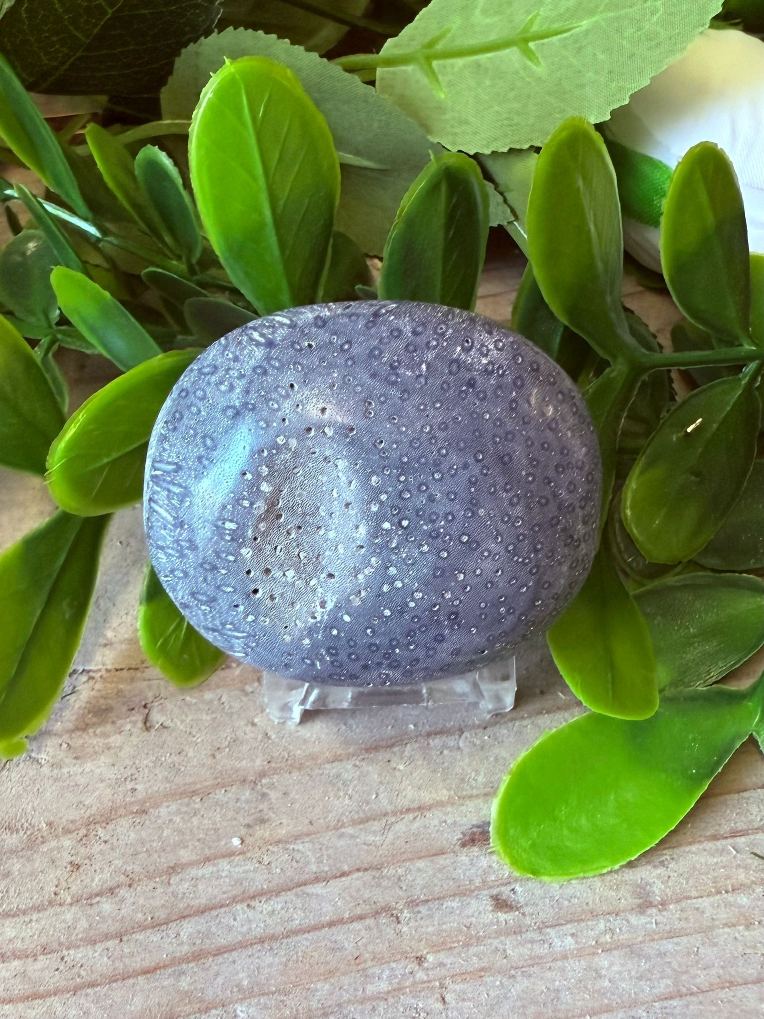 Blue Fossil Palmstone