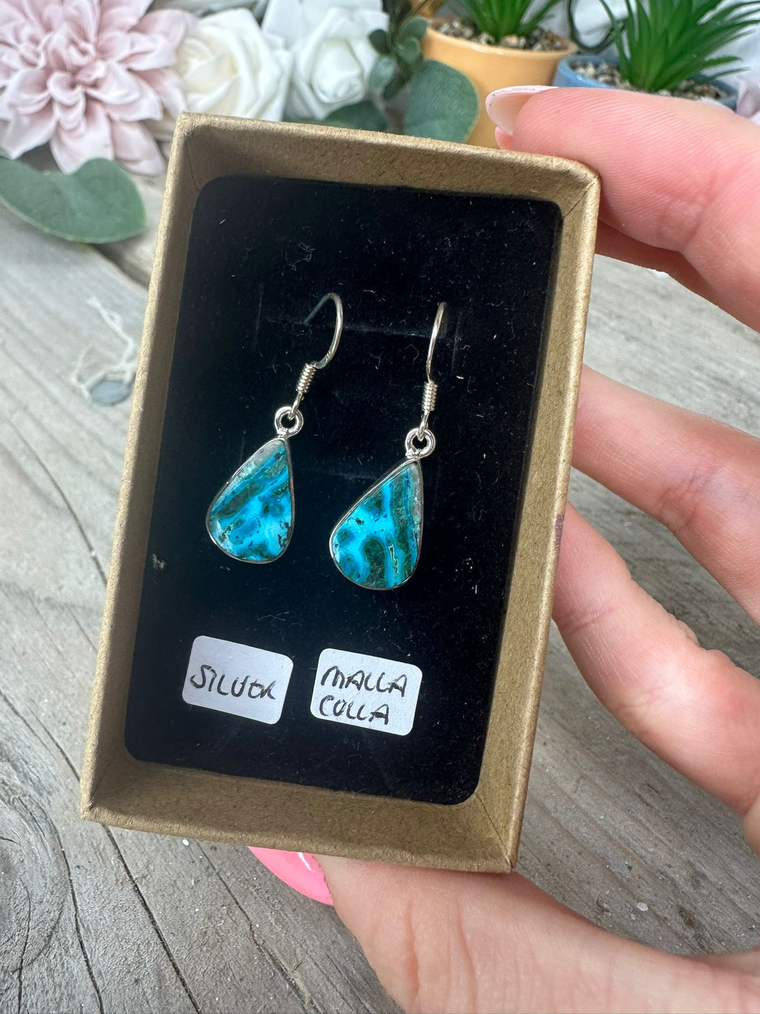 Malacholla Silver Earrings